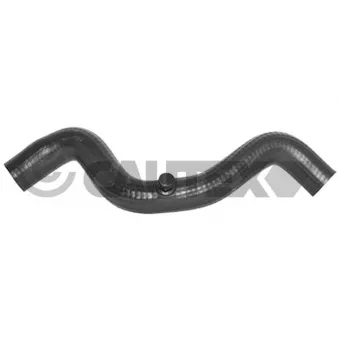 Durite de radiateur CAUTEX 026447