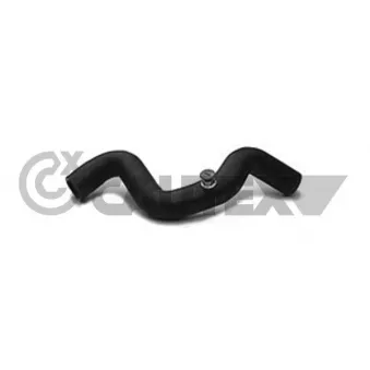 Durite de radiateur CAUTEX 026449