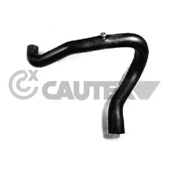 Durite de radiateur CAUTEX 026460
