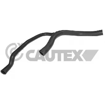 Durite de radiateur CAUTEX 026492