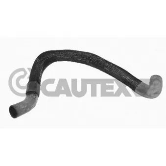 Durite de radiateur CAUTEX 026494
