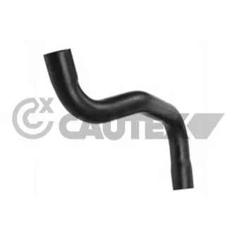 Durite de radiateur CAUTEX 026499