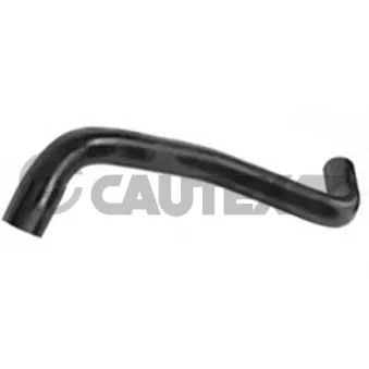 Durite de radiateur CAUTEX 026506