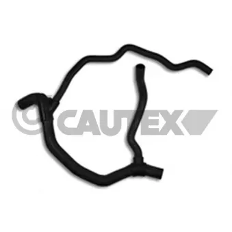 Durite de radiateur CAUTEX 026522