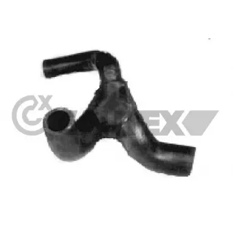 Durite de radiateur CAUTEX 026534