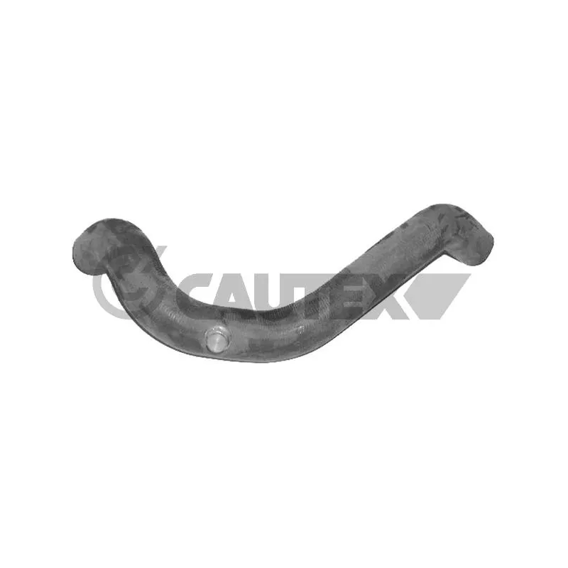 Durite de radiateur CAUTEX 026536