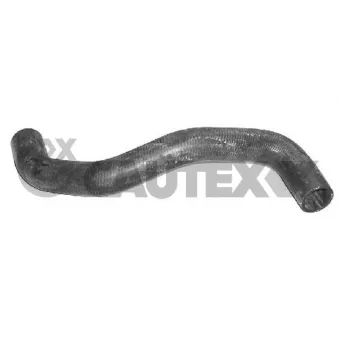 Durite de radiateur CAUTEX 026548