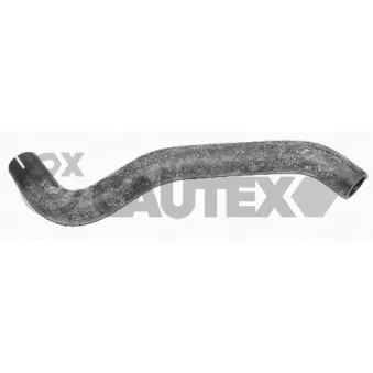 Durite de radiateur CAUTEX 026567