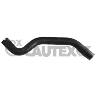 Durite de radiateur CAUTEX 026601