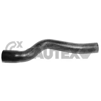 Durite de radiateur CAUTEX 026616