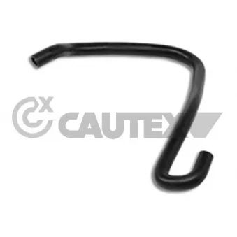Durite de radiateur CAUTEX 026641