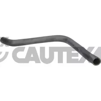 Durite de radiateur CAUTEX 026729