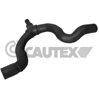 Durite de radiateur CAUTEX 026787
