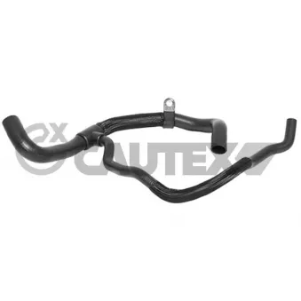 Durite de radiateur CAUTEX 026793