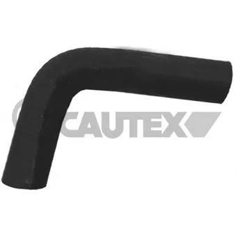 Durite de radiateur CAUTEX 026813