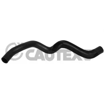 Durite de radiateur CAUTEX 026851