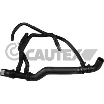 Durite de radiateur CAUTEX 026863