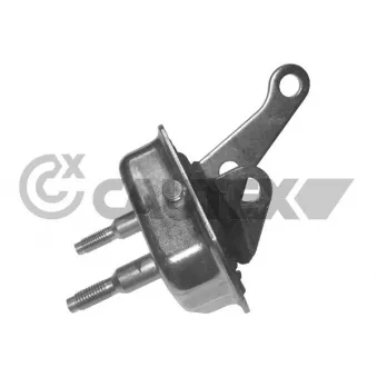 Suspension, corps de l'essieu CAUTEX 030432