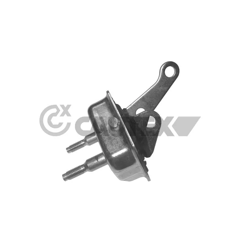 Suspension, corps de l'essieu CAUTEX 030432