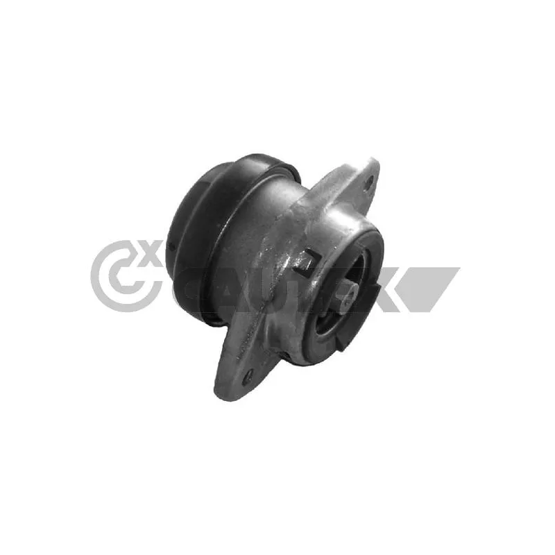 Support moteur CAUTEX 030816