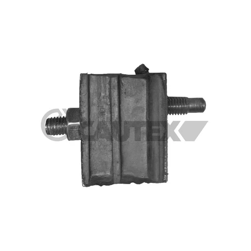Suspension, corps de l'essieu CAUTEX 030927