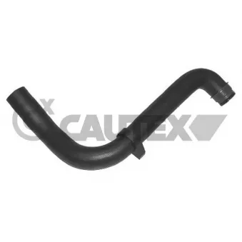 Durite de radiateur CAUTEX 031067