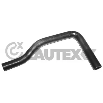 Durite de radiateur CAUTEX 031074