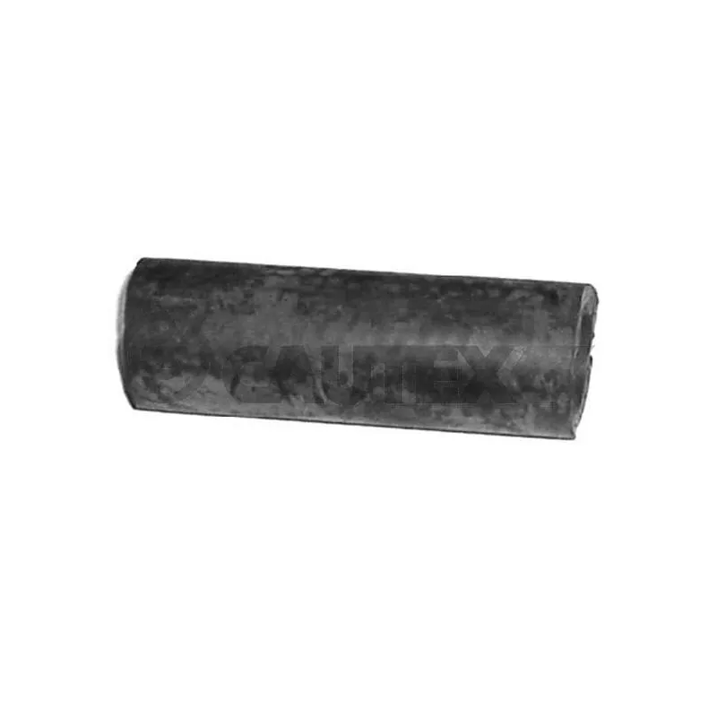 Durite de radiateur CAUTEX 031076