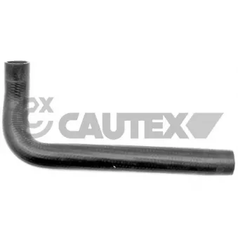 Durite de radiateur CAUTEX 031081