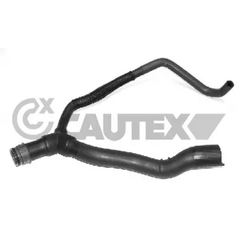Durite de radiateur CAUTEX 031093