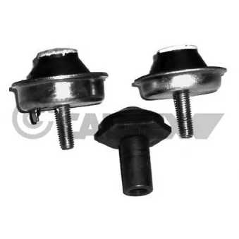 Butée élastique, support du moteur avant droit CAUTEX 031114