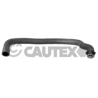 Durite de radiateur CAUTEX 031137
