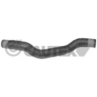 Durite de radiateur CAUTEX 031141