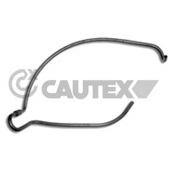 Durite de radiateur CAUTEX 031145