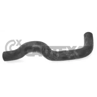 Durite de radiateur CAUTEX 031165
