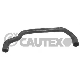 Durite de radiateur CAUTEX 031179