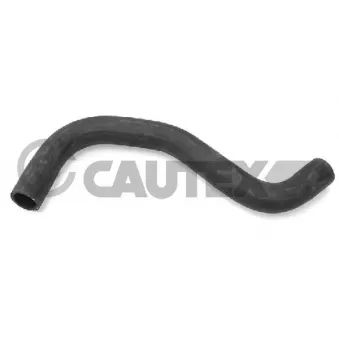 Durite de radiateur CAUTEX 031185