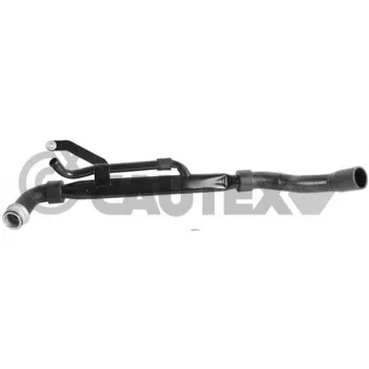 Durite de radiateur CAUTEX 031253
