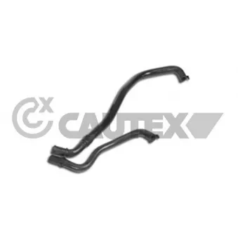 Durite de radiateur CAUTEX 031287