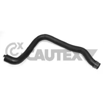 Durite de radiateur CAUTEX 031294