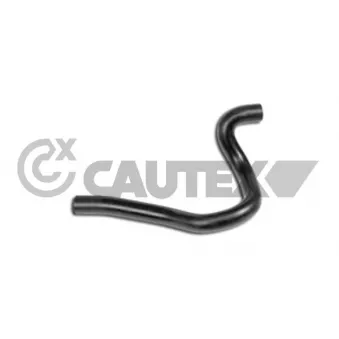 Durite de radiateur CAUTEX 031296