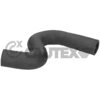 Durite de radiateur CAUTEX 031303