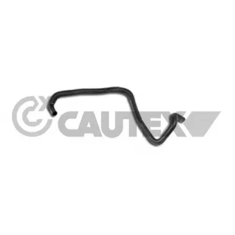 Durite de radiateur CAUTEX 031307