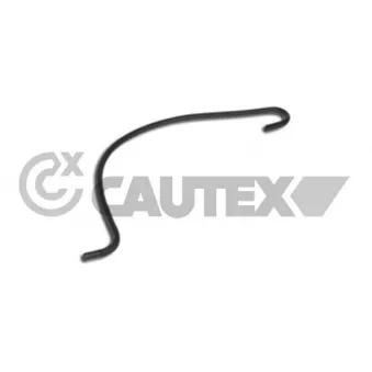 Durite de radiateur CAUTEX 031318