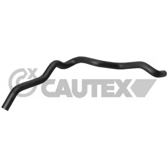 Durite de radiateur CAUTEX 031325