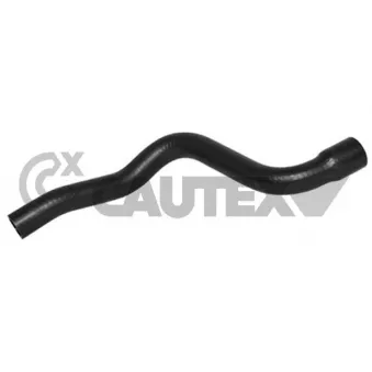 Durite de radiateur CAUTEX 031339