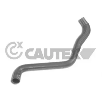 Durite de radiateur CAUTEX 031350