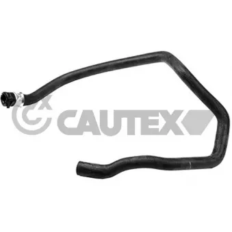 Durite de radiateur CAUTEX 031353