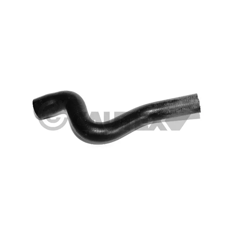Durite de radiateur CAUTEX 031357