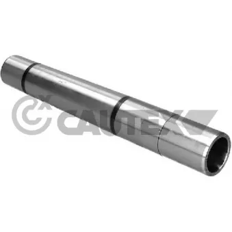 Suspension, jambe d'essieu CAUTEX 031444